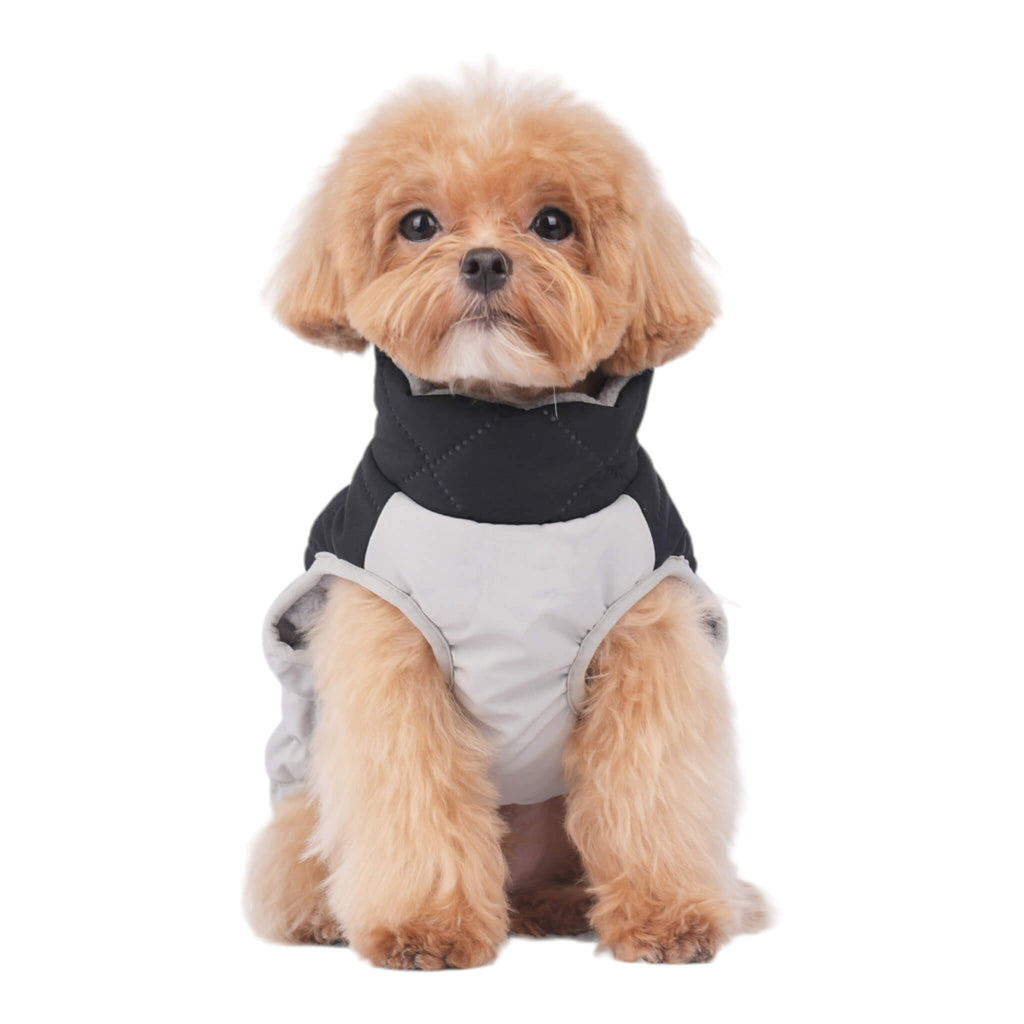 Northumberland Style Dog Coat features attractive black and grey design