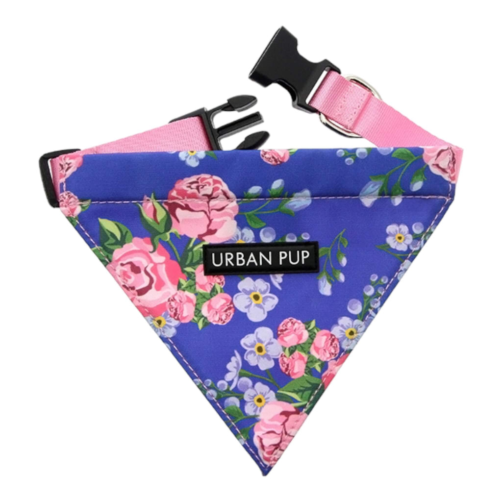 Pink and Blue Floral Burst Dog Bandana