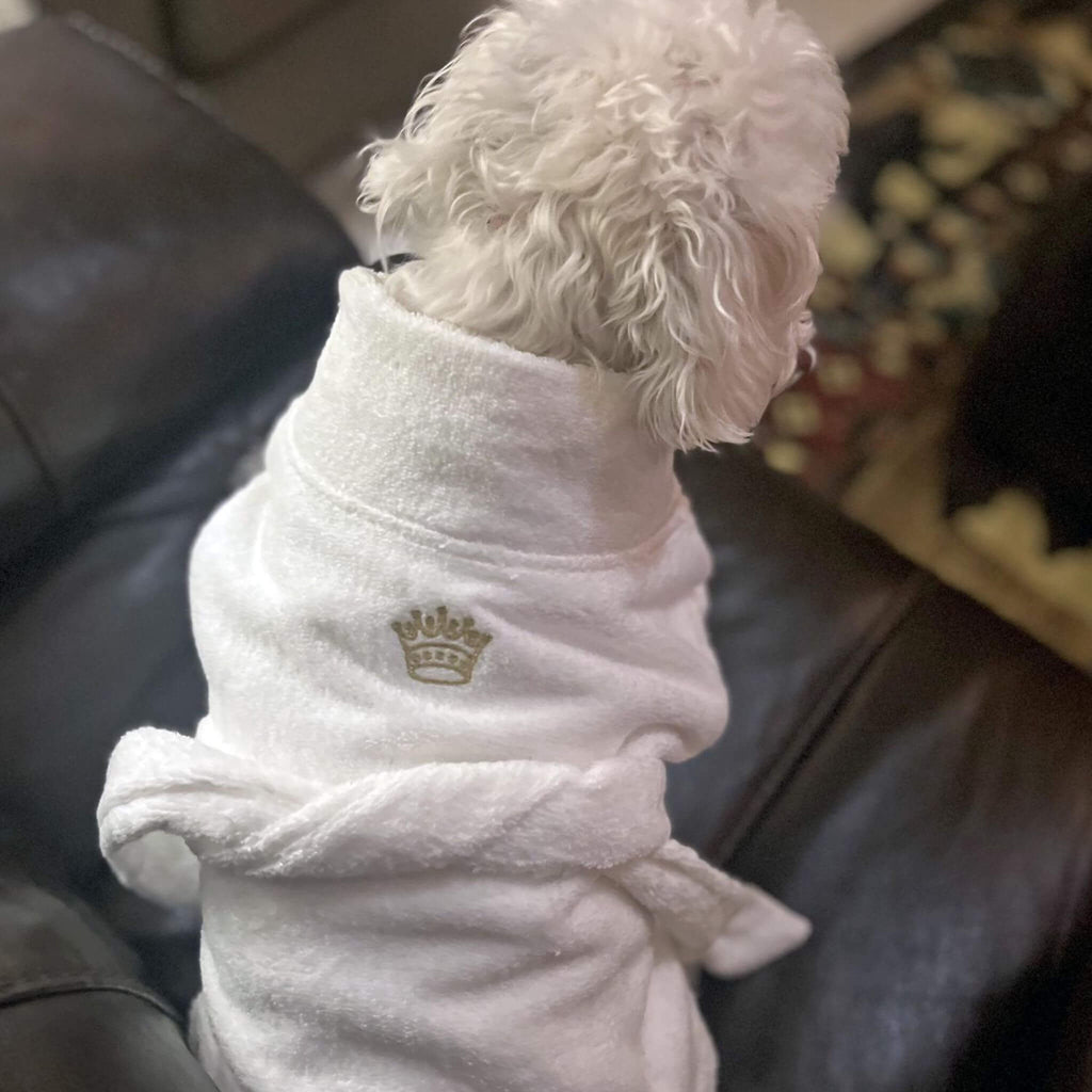 Pup wears White Gold Crown Cotton Dog Bathrobe by Doggie Design