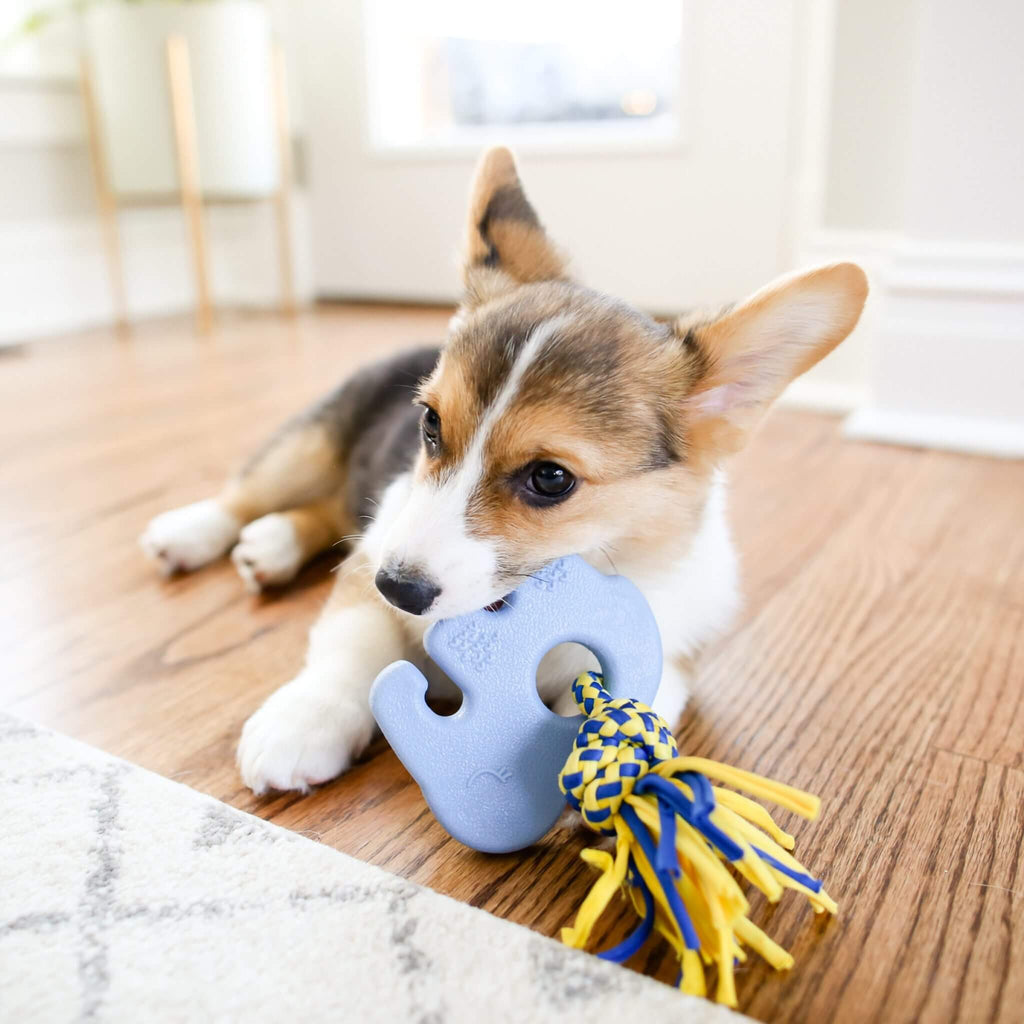 Puppy chews on ZippyTuff Teetherz - Elliot the Elephant