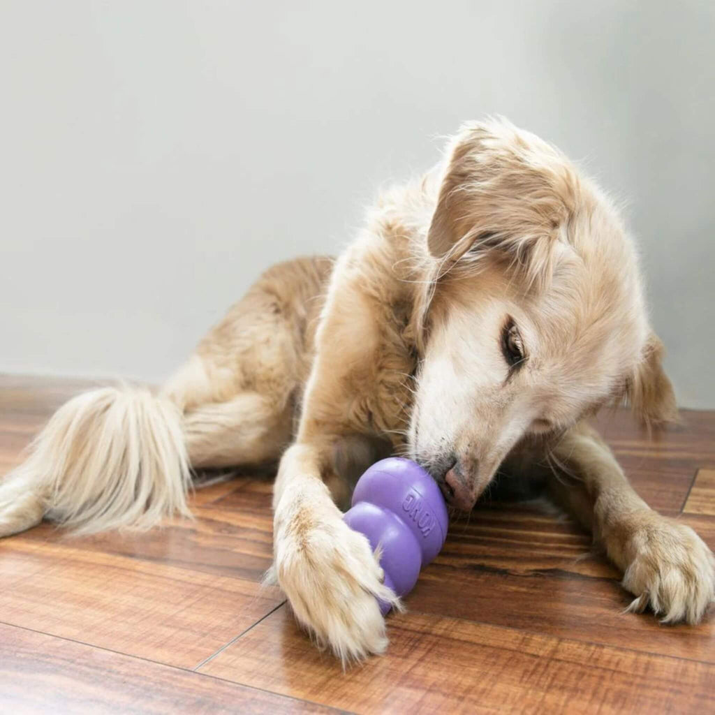 Senior dog nuzzles his senior dog chew toy