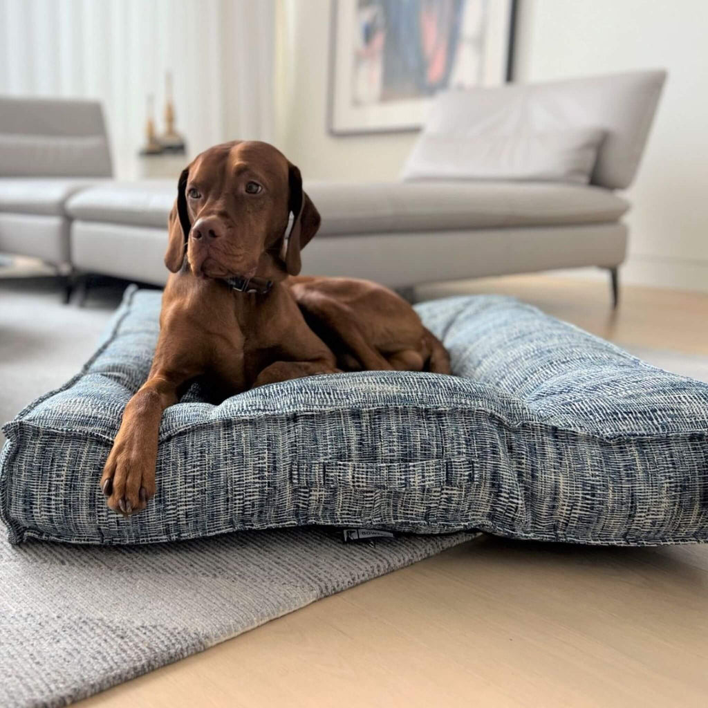 Sitting pretty on the Portofino Chenille Piazza Dog Bed