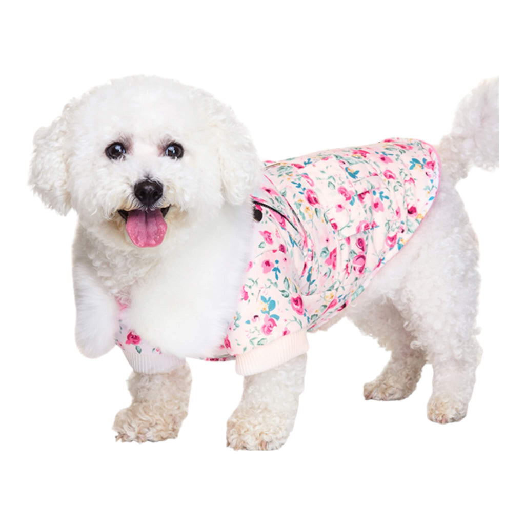 Small breed dog rocks Pink Floral Cascade Dog Coat