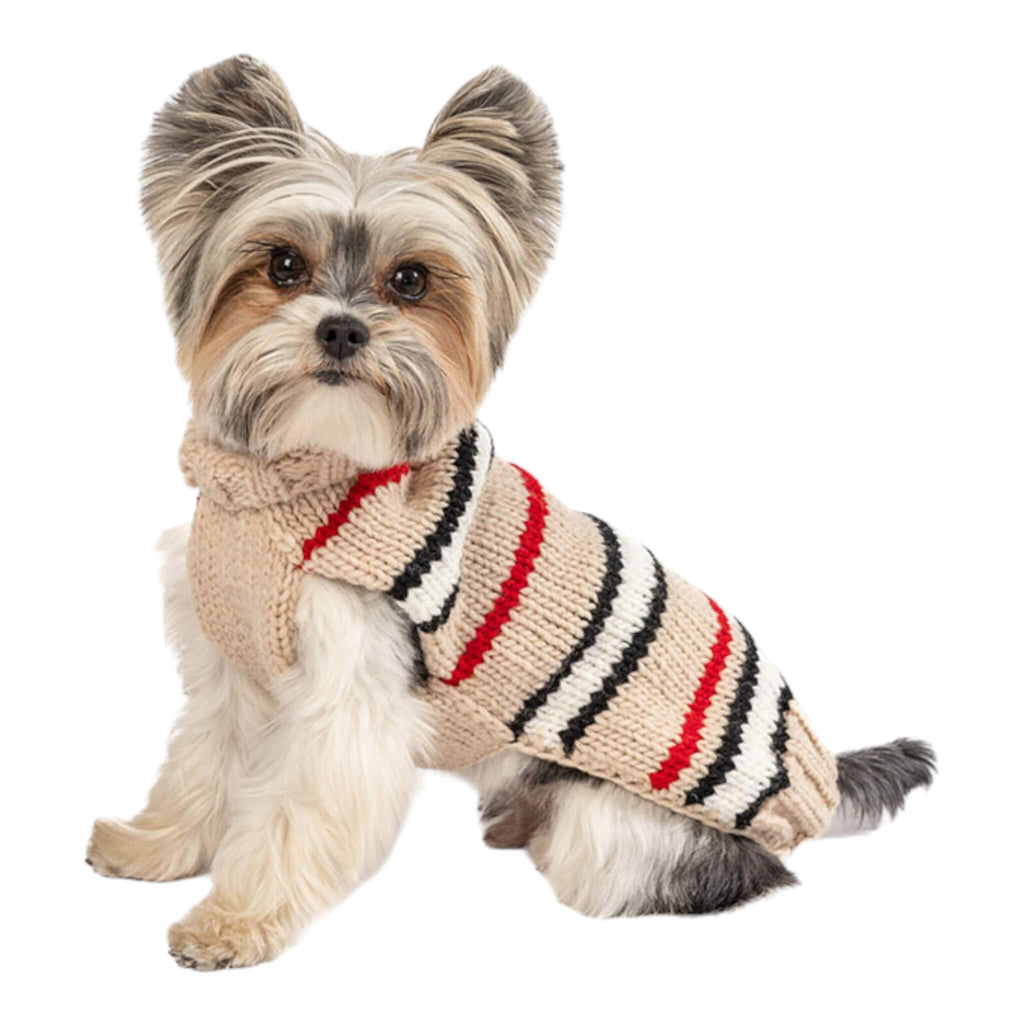 Small breed pup models Alpaca Bentley Stripe Dog Sweater