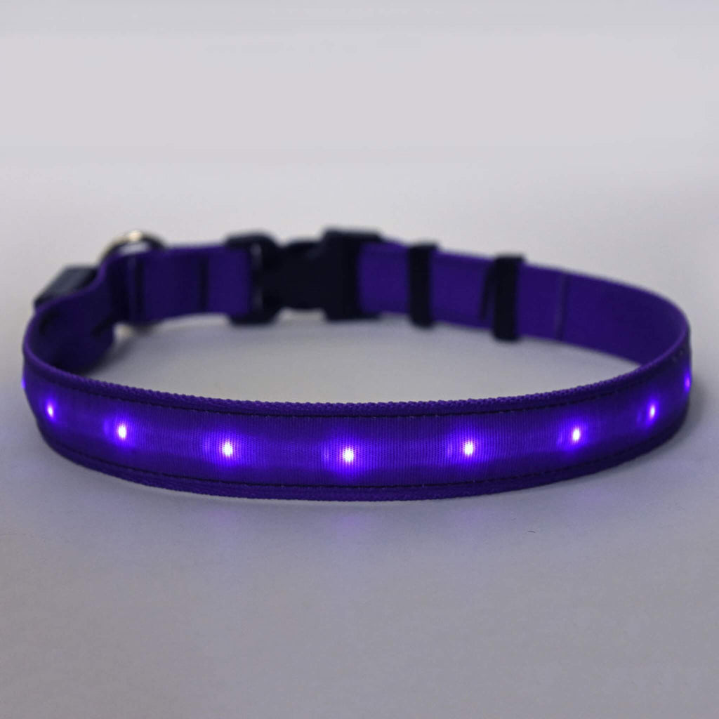 Solid Purple ORION LED Dog Collar lit up