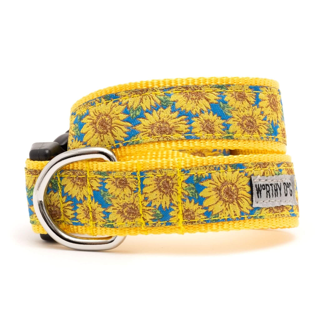 Sunflowers Dog Collar