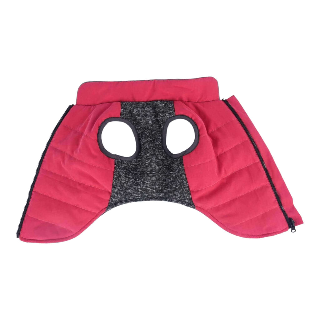 The Cheshire Step-In Dog Coat