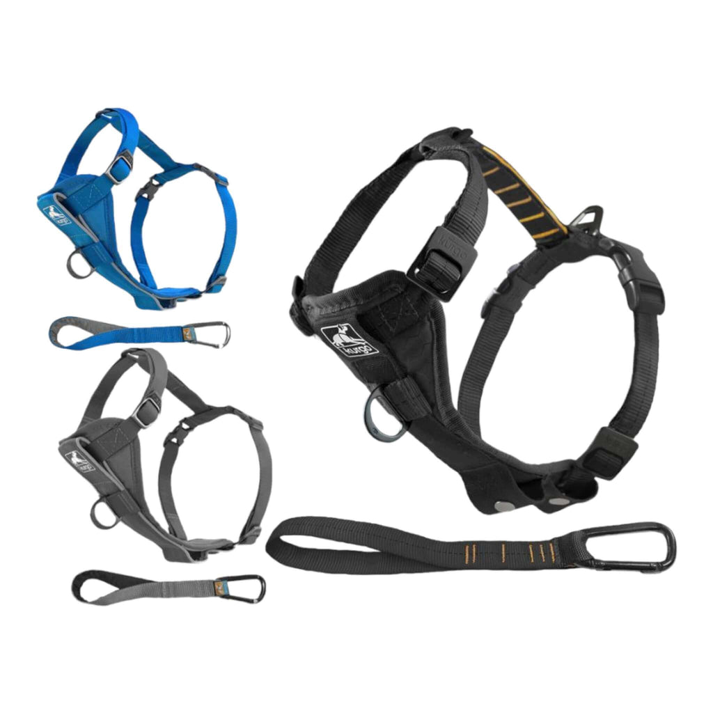 The Tru-Fit Smart Dog Harness comes in three colors