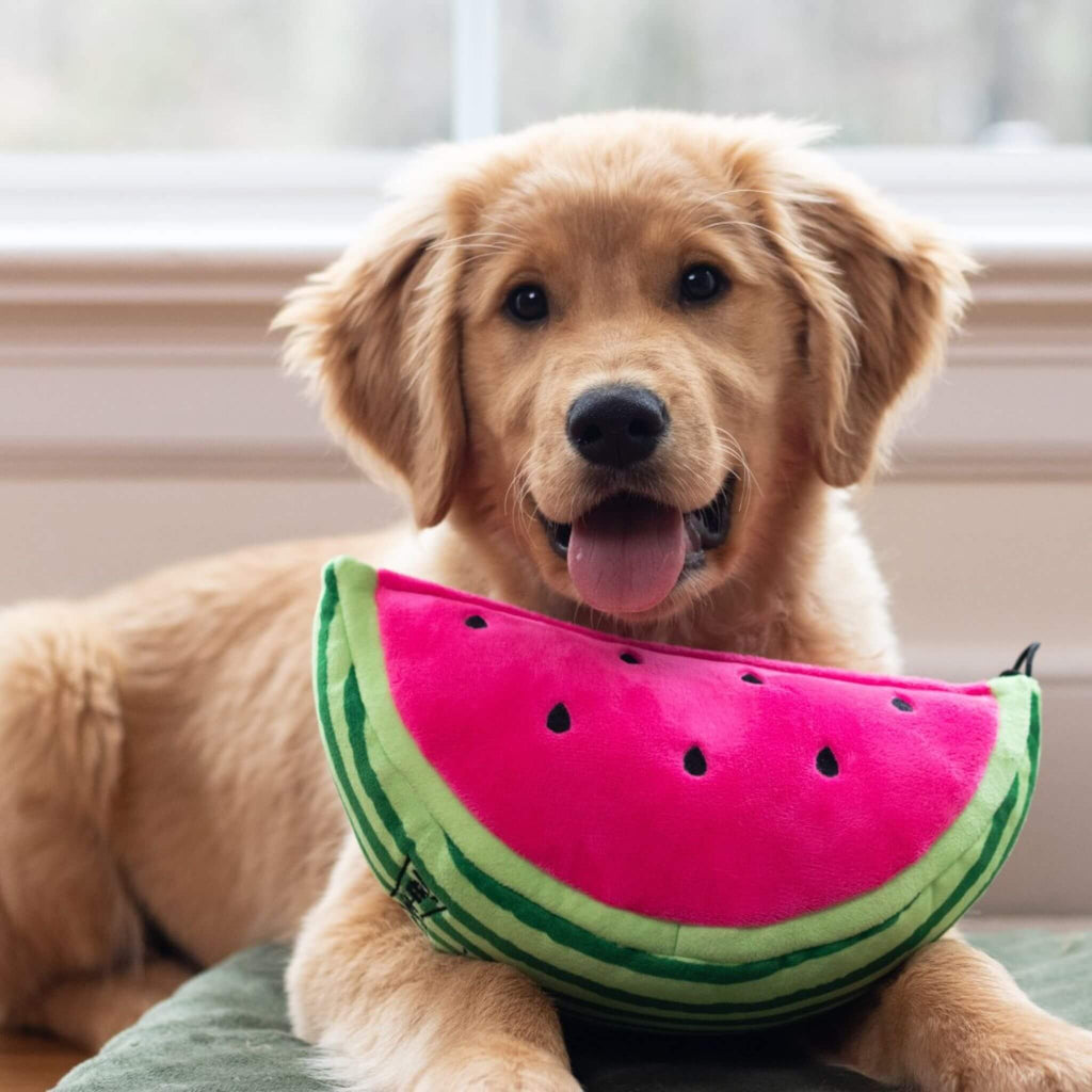 The Watermelon Plush Dog Toy is sure to be a favorite