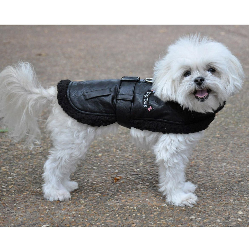 Dog models Top Dog Flight Harness Coat - side view