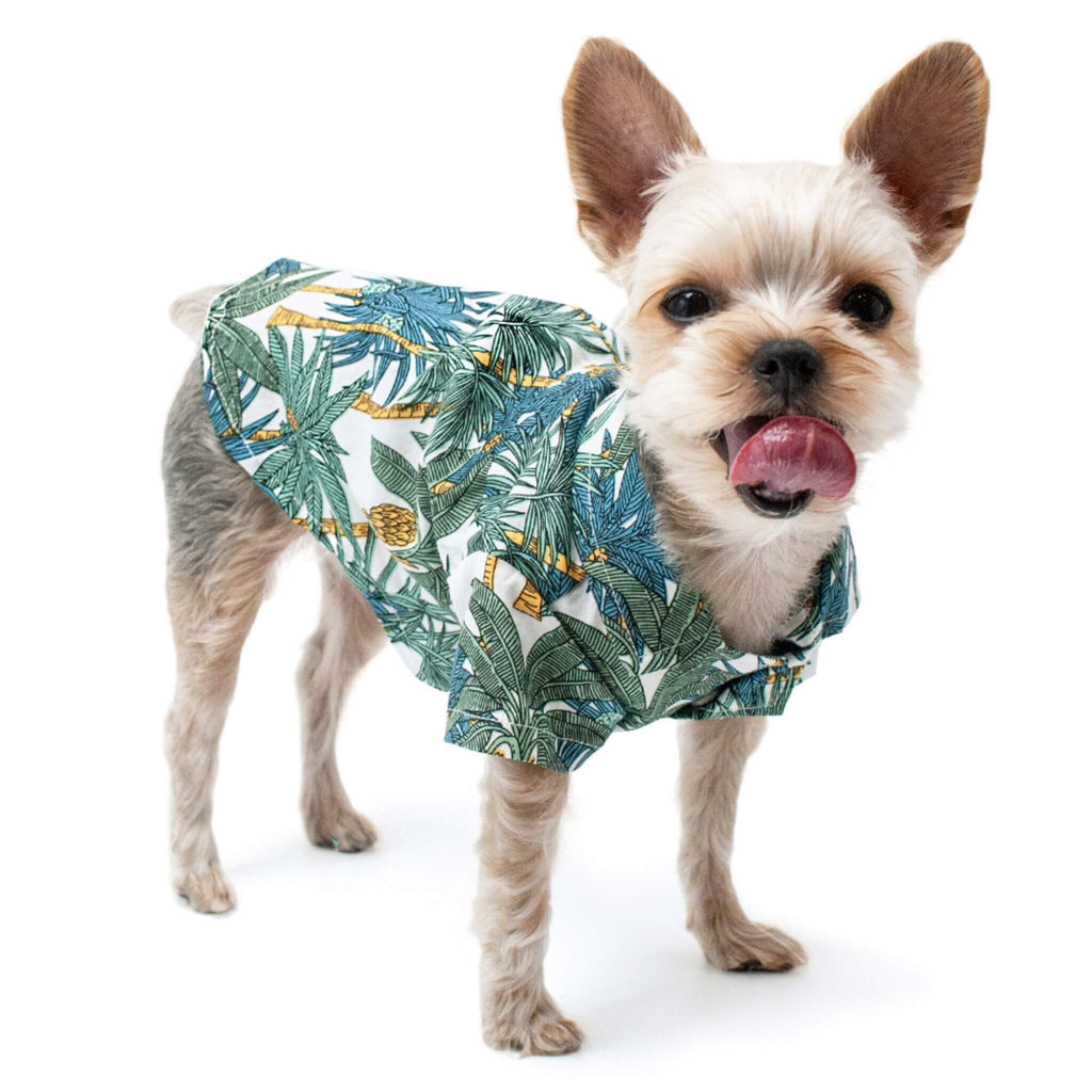 Tropical Leaf Dog Shirt