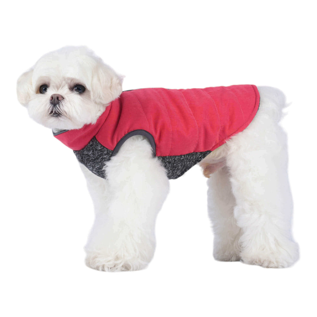 Side view of the Cheshire Step-In Dog Coat