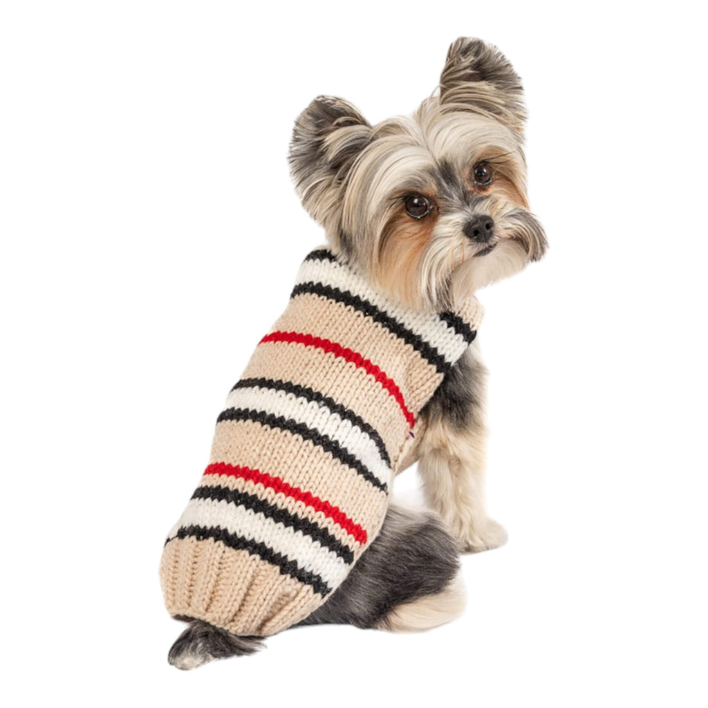 Yorkie models Alpaca Bentley Stripe Dog Sweater