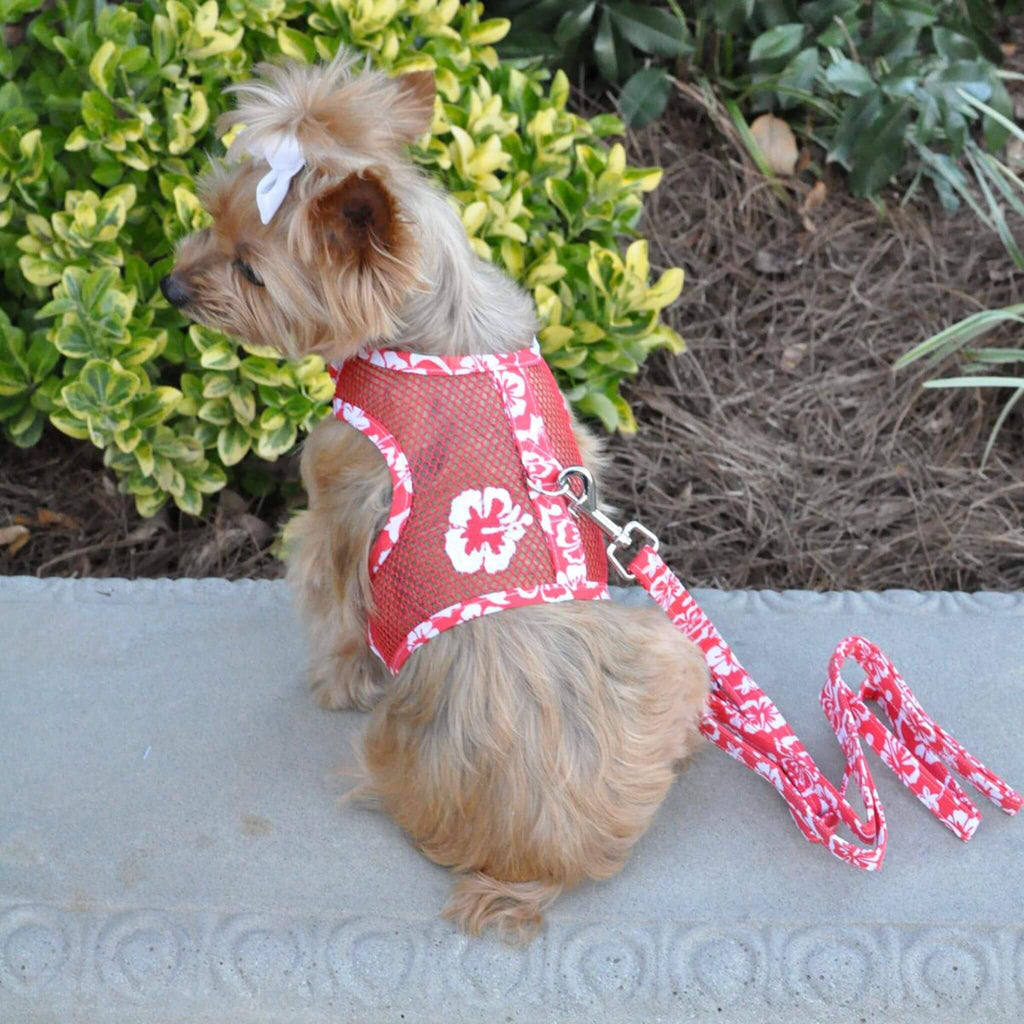 Yorkie models Cool Mesh Dog Harness in Hawaiian Hibiscus Red