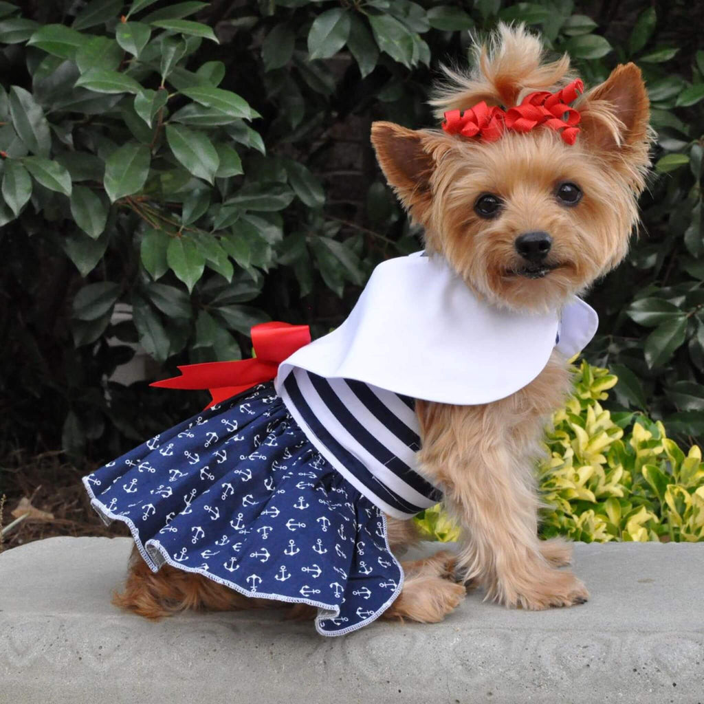 Yorkie models Nautical Dog Dress with Matching Leash