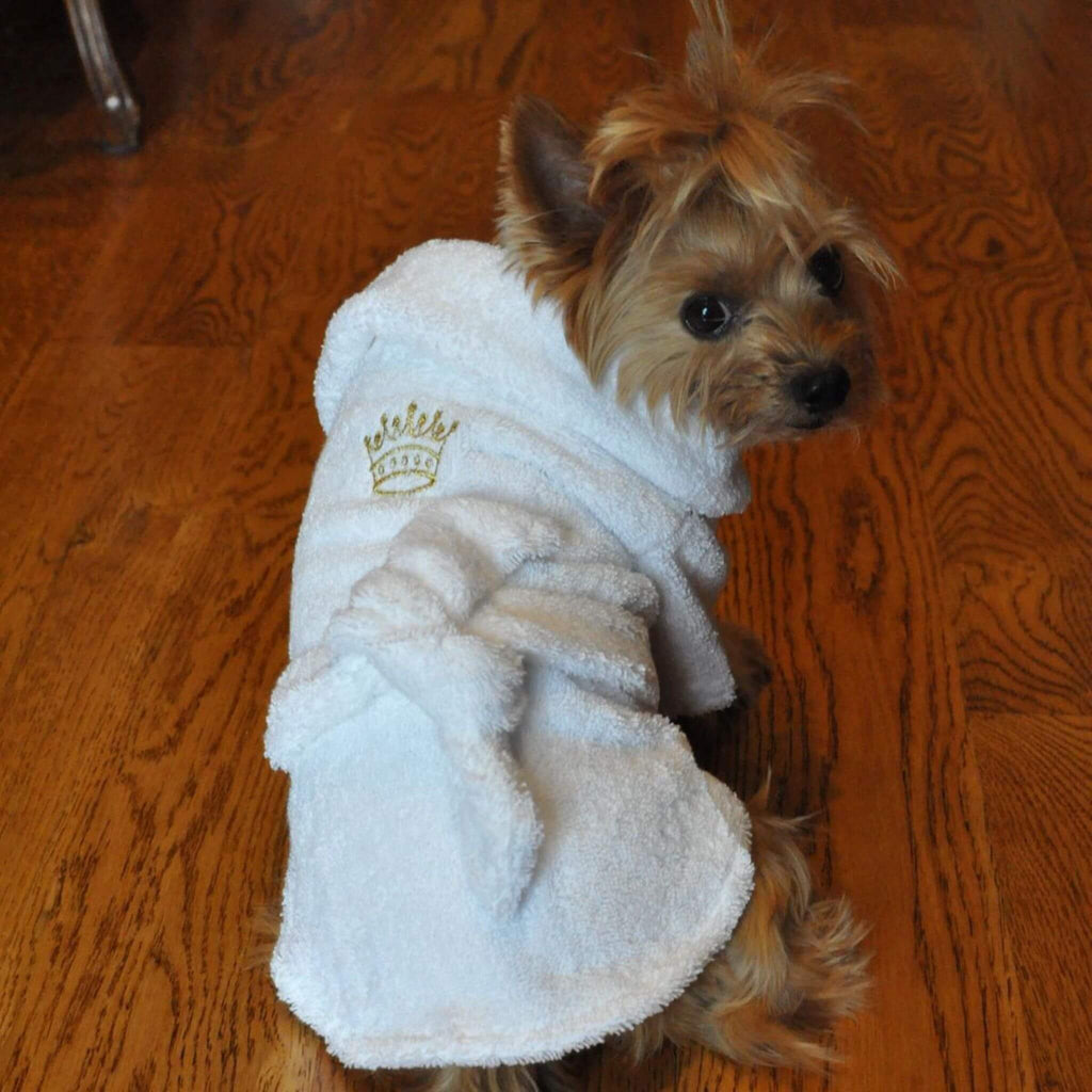 Yorkie models White Gold Crown Cotton Dog Bathrobe