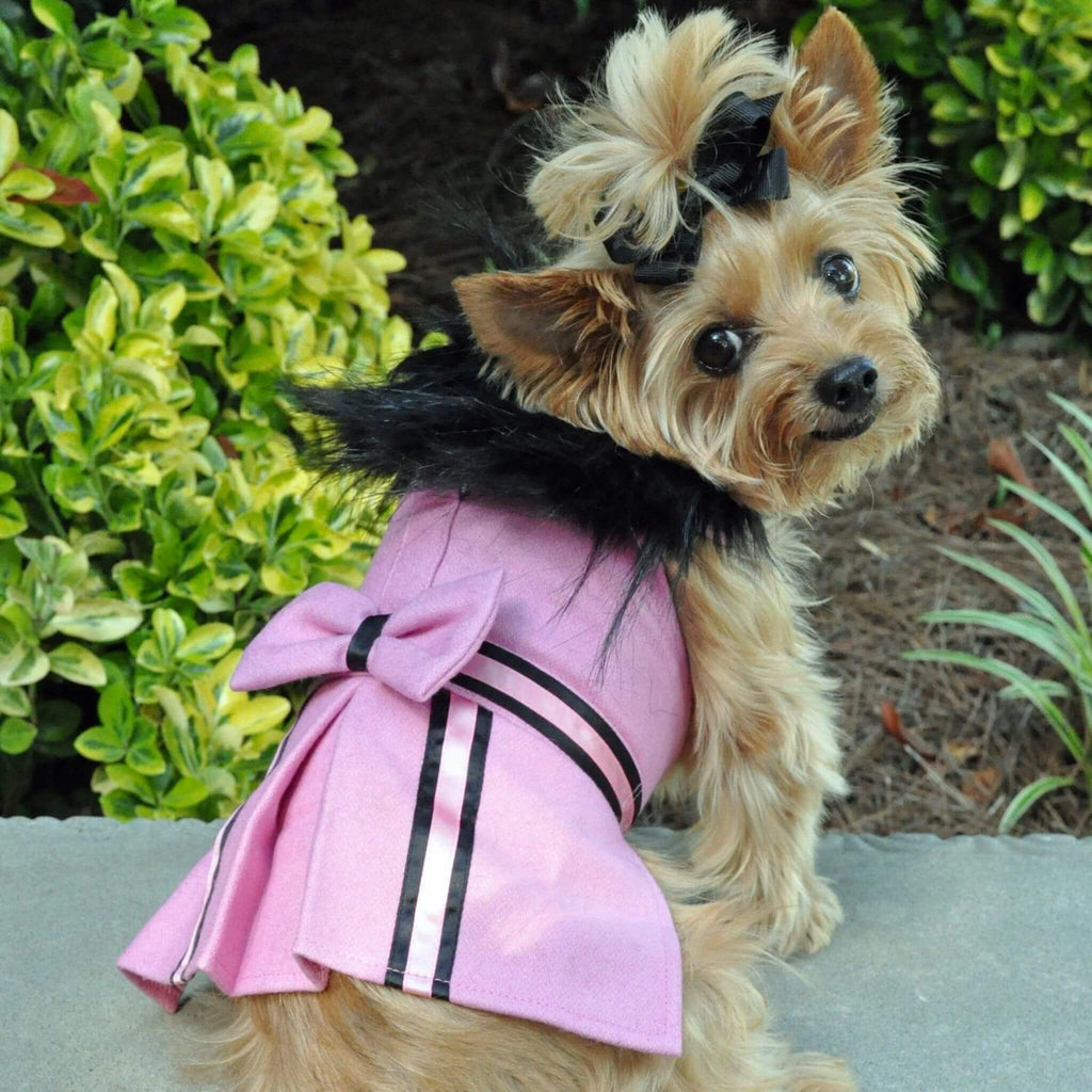 Yorkie wears the Wool Fur-trimmed Dog Harness Coat in Pink
