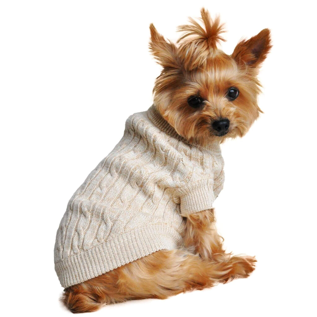 Yorkshire Terrier models Combed Cotton Cable Knit Dog Sweater in Oatmeal