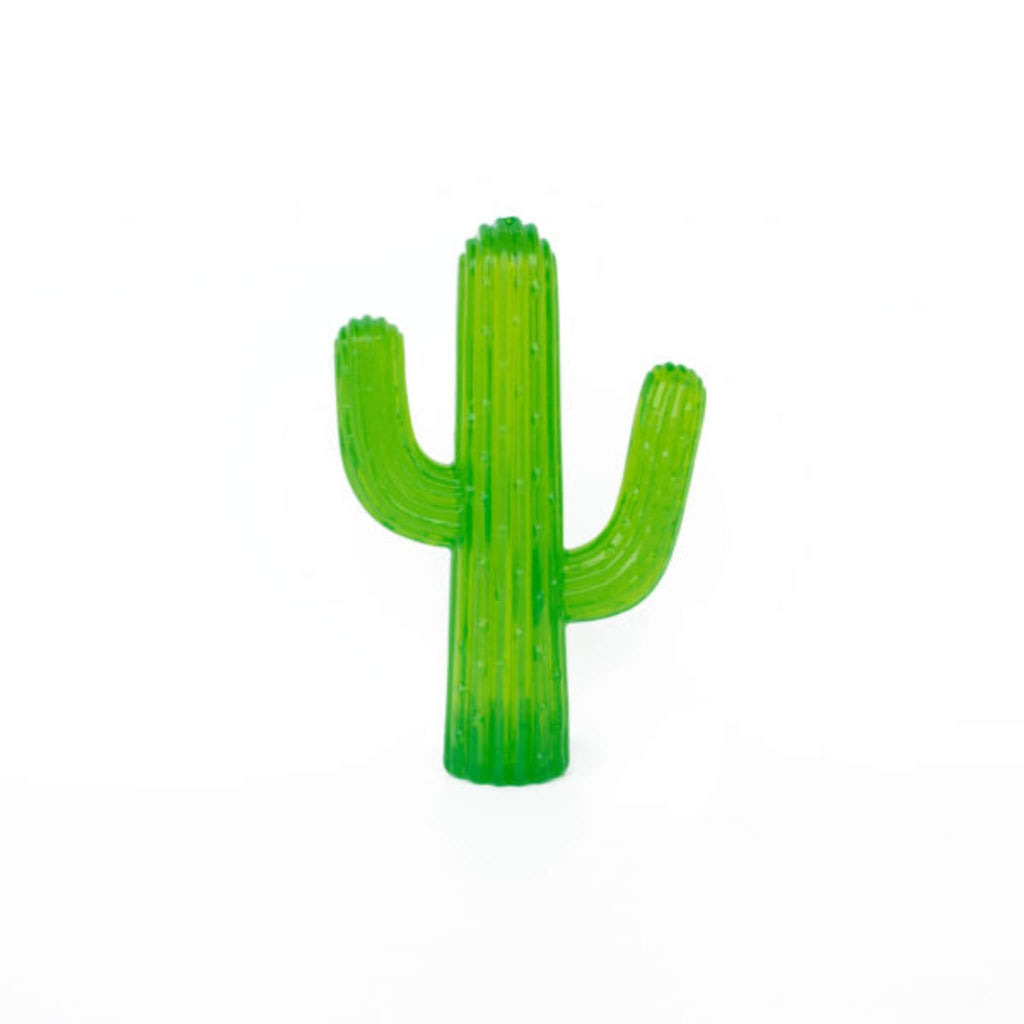 ZippyTuff Cactus Dog Fetch Toy
