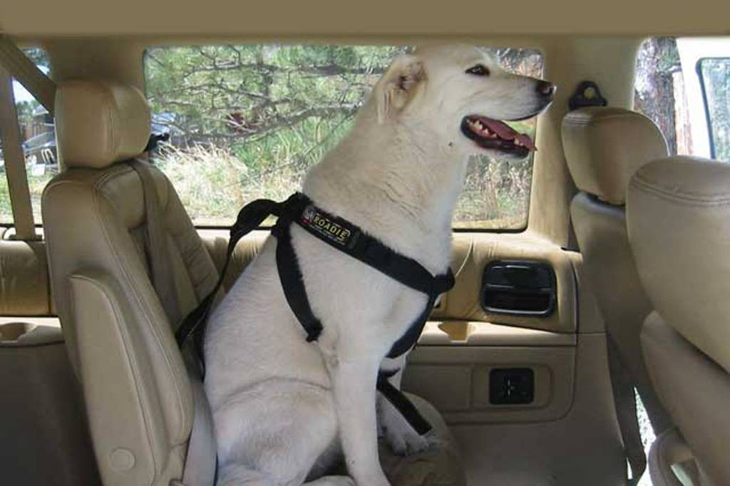 Roadie Canine Vehicle Safety Harness by Ruff Rider - UKUSCAdoggie