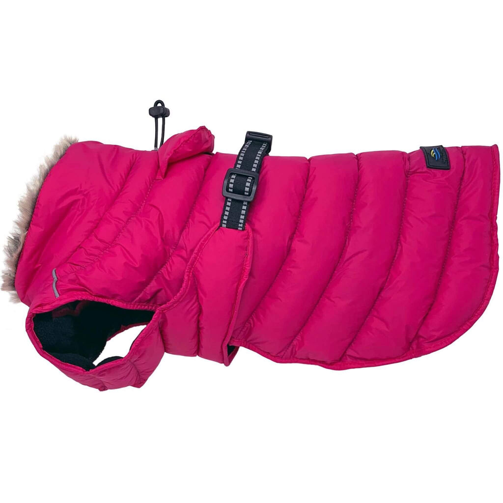 Alpine Extreme Weather Puffer Dog Coat in Peacock