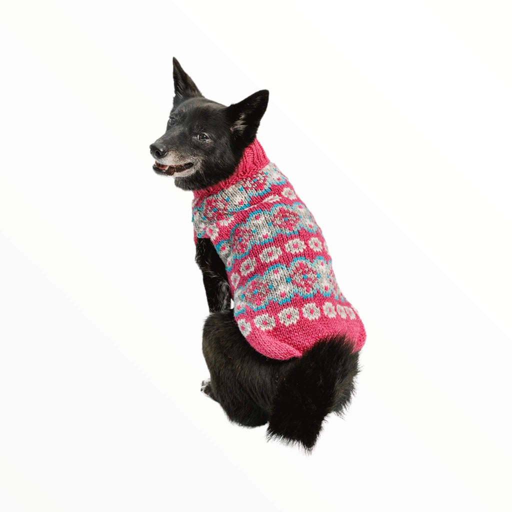 Black dog models Alpaca Rose Fair Isle Dog Sweater