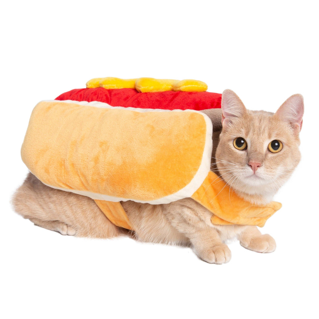 Cats can be hot dogs too