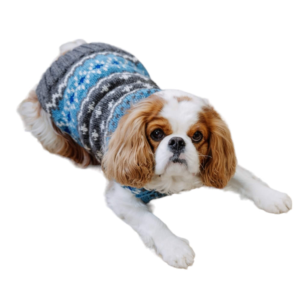 Cavalier Looks Cute in Light Blue Fair Isle Dog Sweater