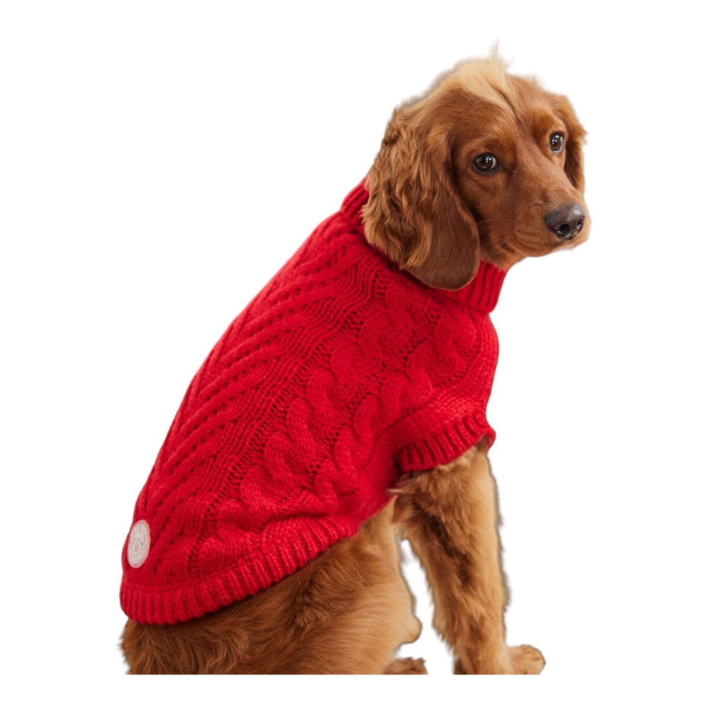 Comfortable and cozy - dog wears the Chalet Dog Sweater in Red