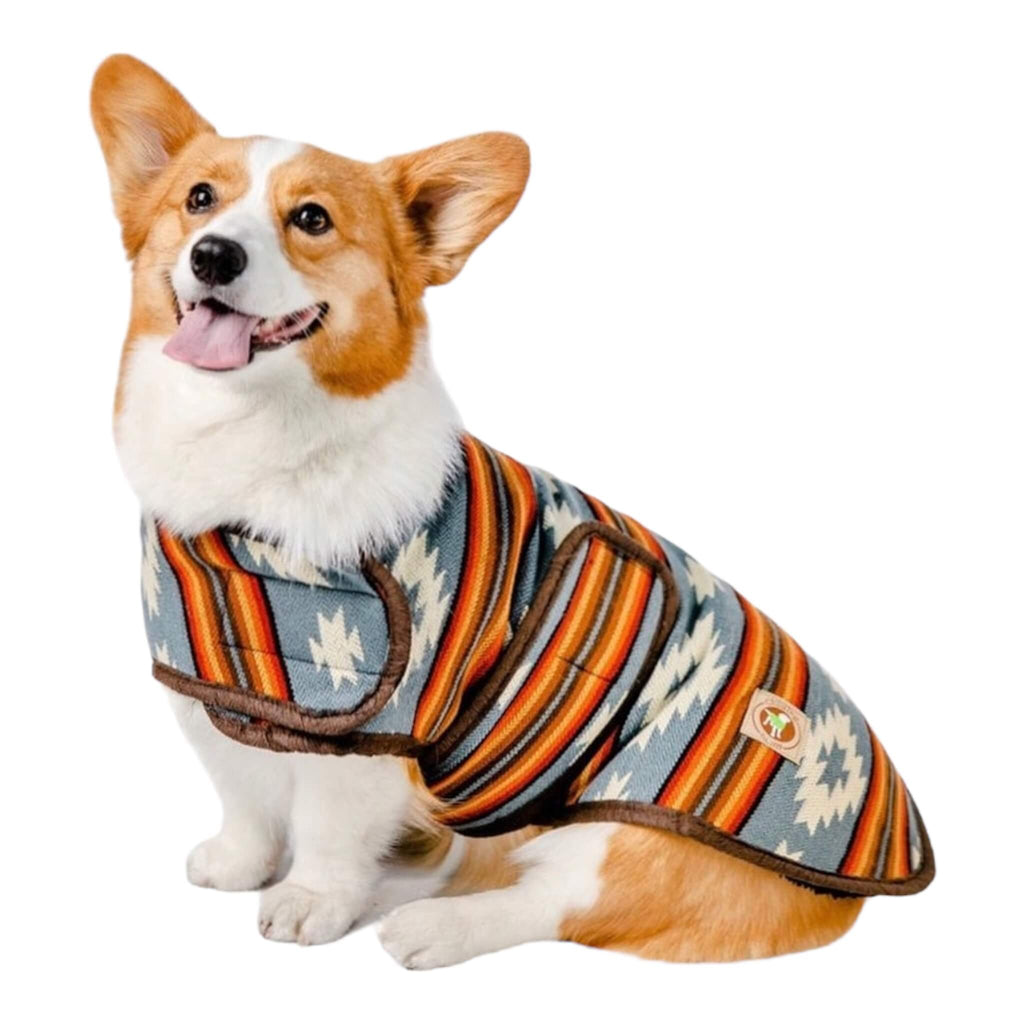 Corgi wears Denim Sunset Blanket Dog Coat