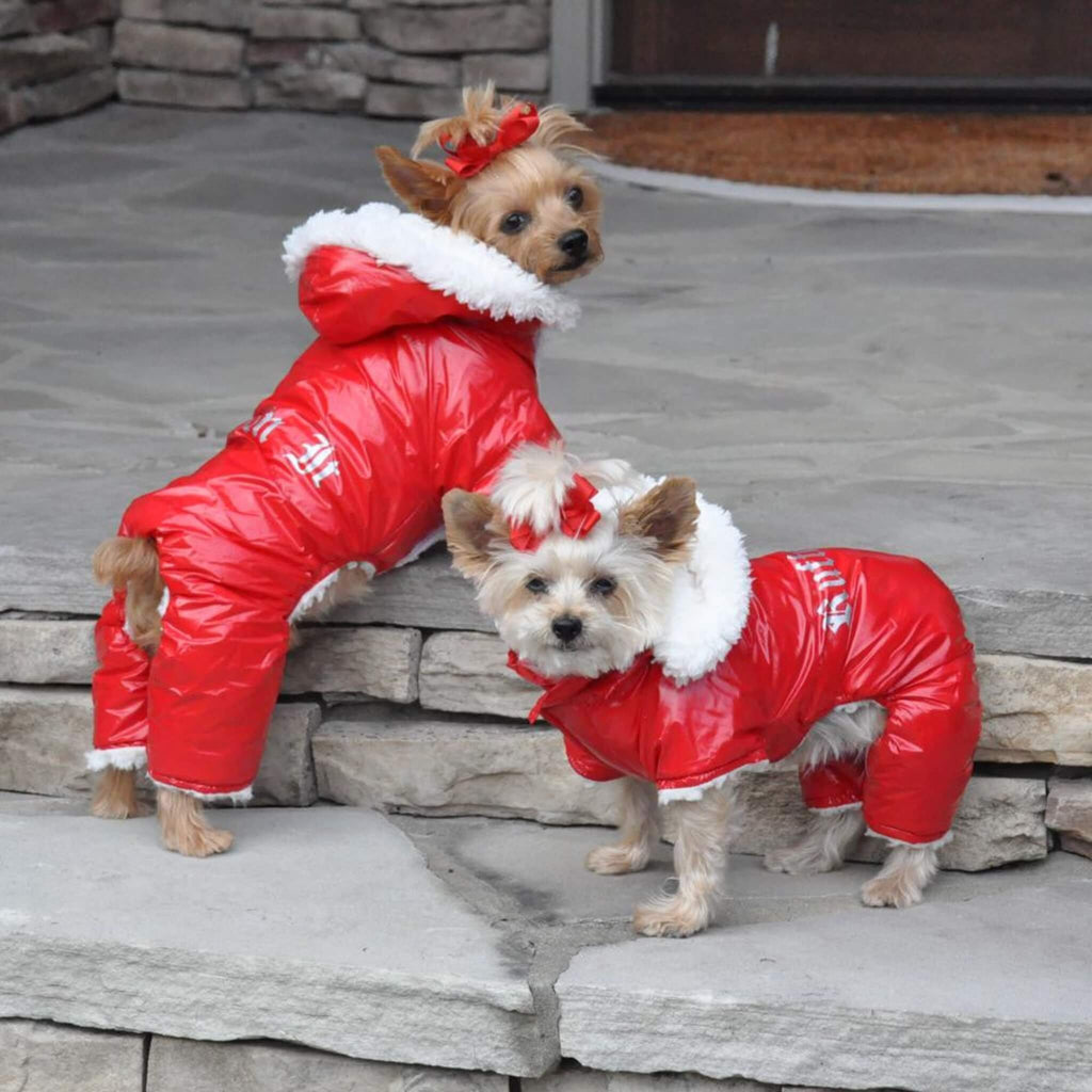 Cute Yorkies Model Ruffin It Dog Snow Suit Harness with Removable Hood