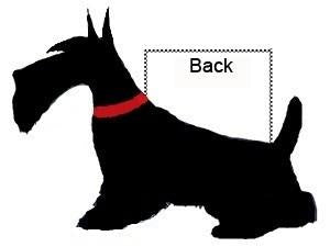 dallas-dogs-size-guide