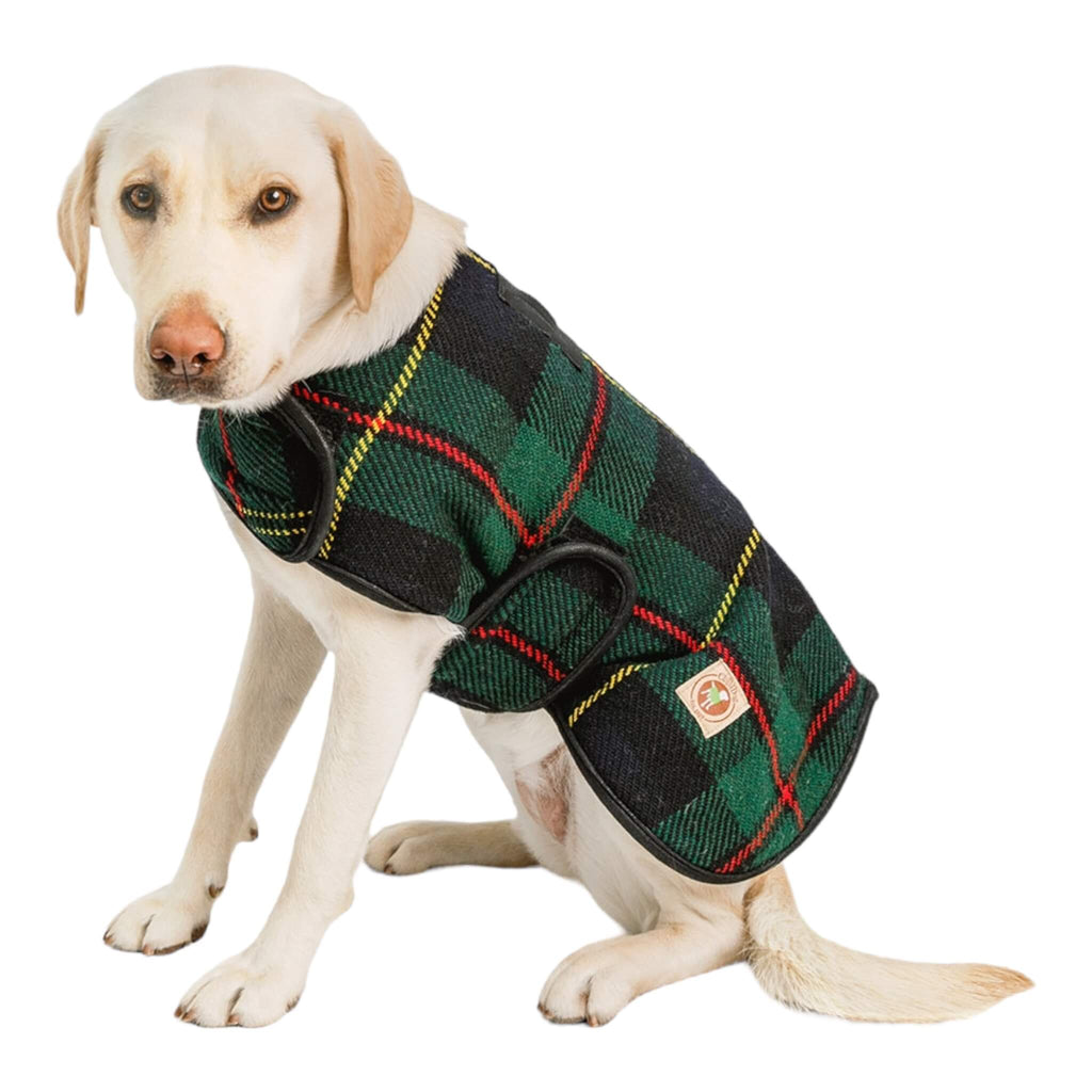 Dapper dog models Navy Tartan Plaid Blanket Dog Coat