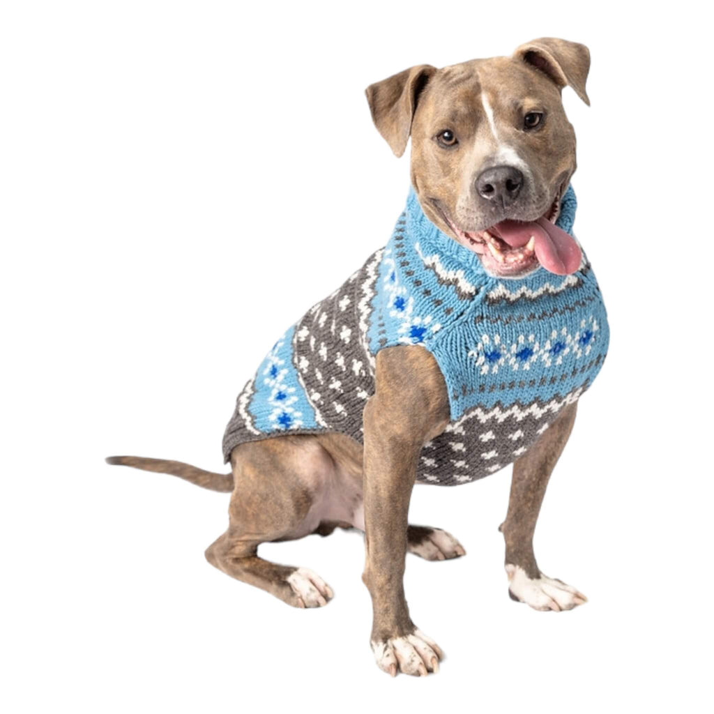 Dapper Dog Wears Light Blue Fair Isle Dog Sweater