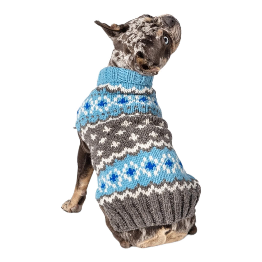 Dapper Pit Bull Wears Light Blue Fair Isle Dog Sweater