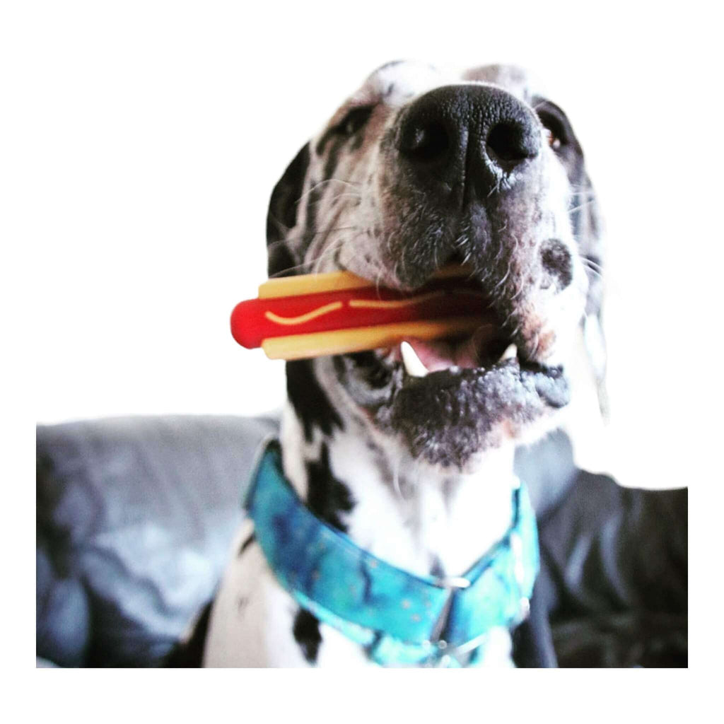 Hot dog chew toy best sale