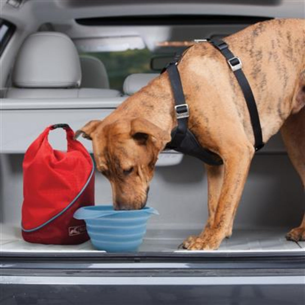 Dog enjoys a quick drink from his stashable water bowl