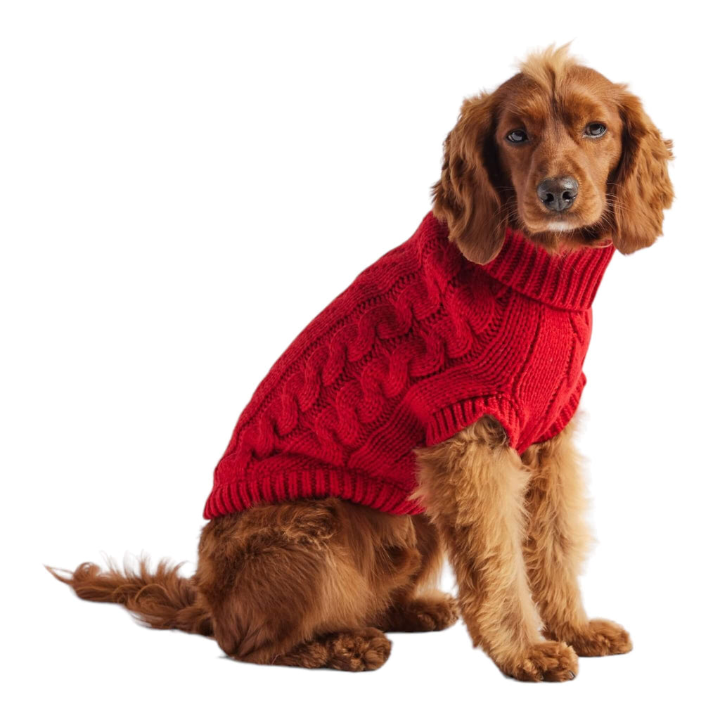 Dog is warm and cozy wearing Chalet Dog Sweater in Red