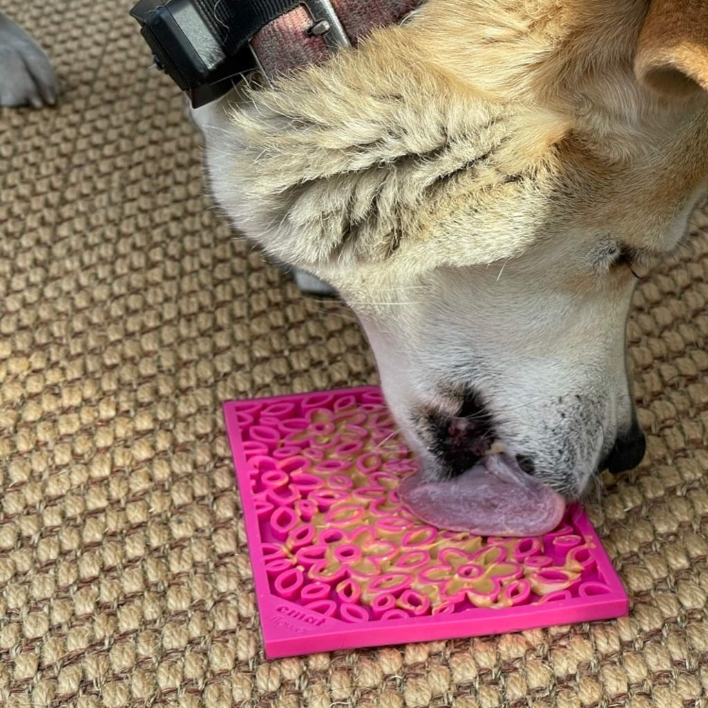Dog licks up peanut butter from his Flower Power Emat Enrichment Licking Mat