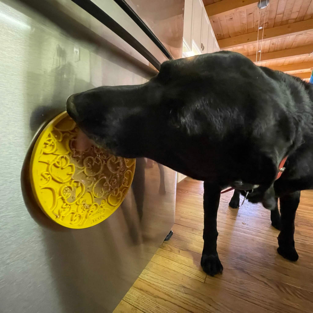 Dog licks up treats from Duckies Design Enrichment Licking Mat stuck on refrigerator