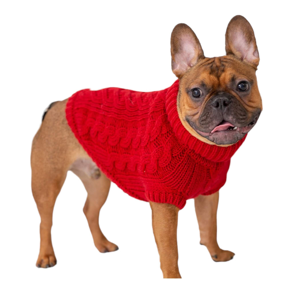 Dog models Chalet Dog Sweater in Red