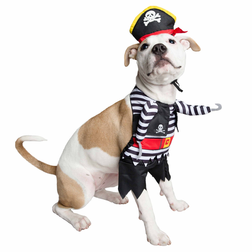 Dog models the Pirate Dog Costume by Pet Krewe