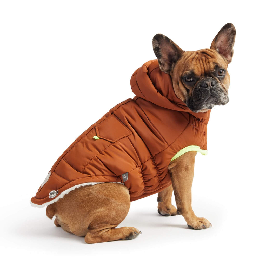 Dog Models Super Puff Dog Parka in Hazel