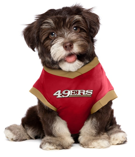 Dog wears a San Francisco 49ers Performance T-Shirt