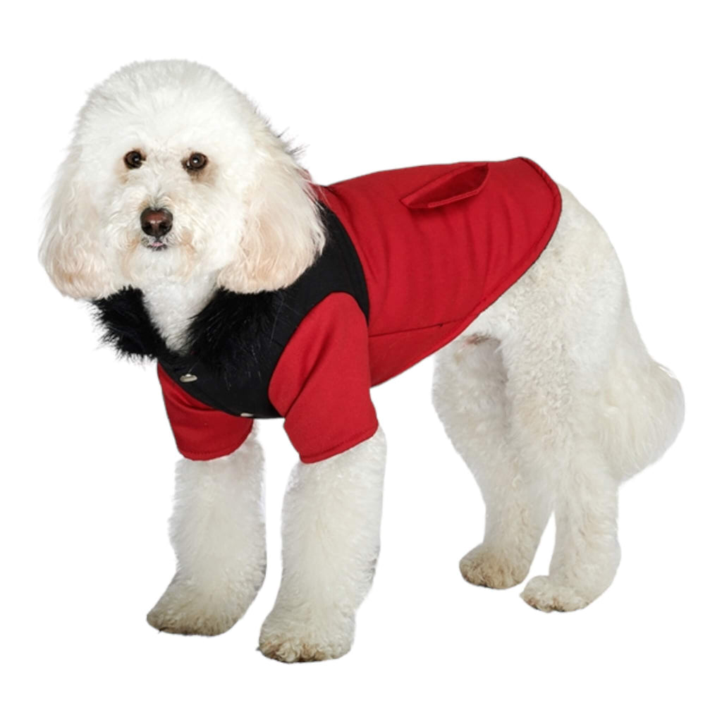 Dog wears Red on Black Two Tone Dog Parka