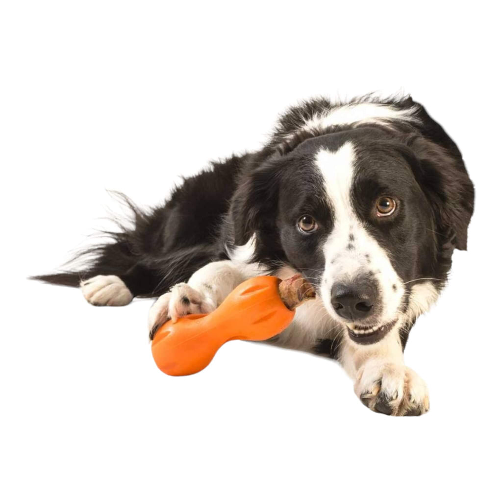 Dogs love gnawing on the Qwizl Chew Toy