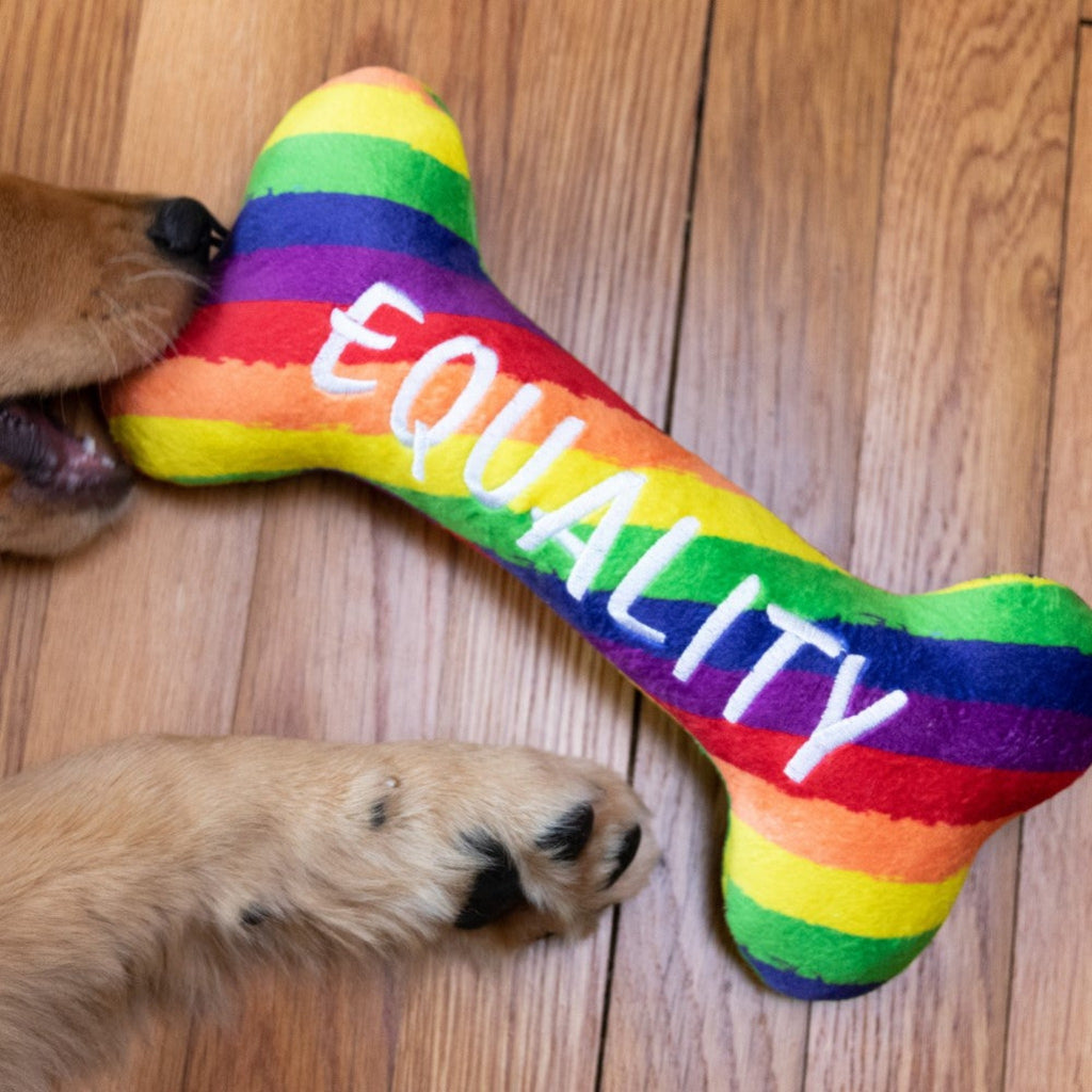 Dogs love the brightly-colored Equality Bone Tough Dog Toy
