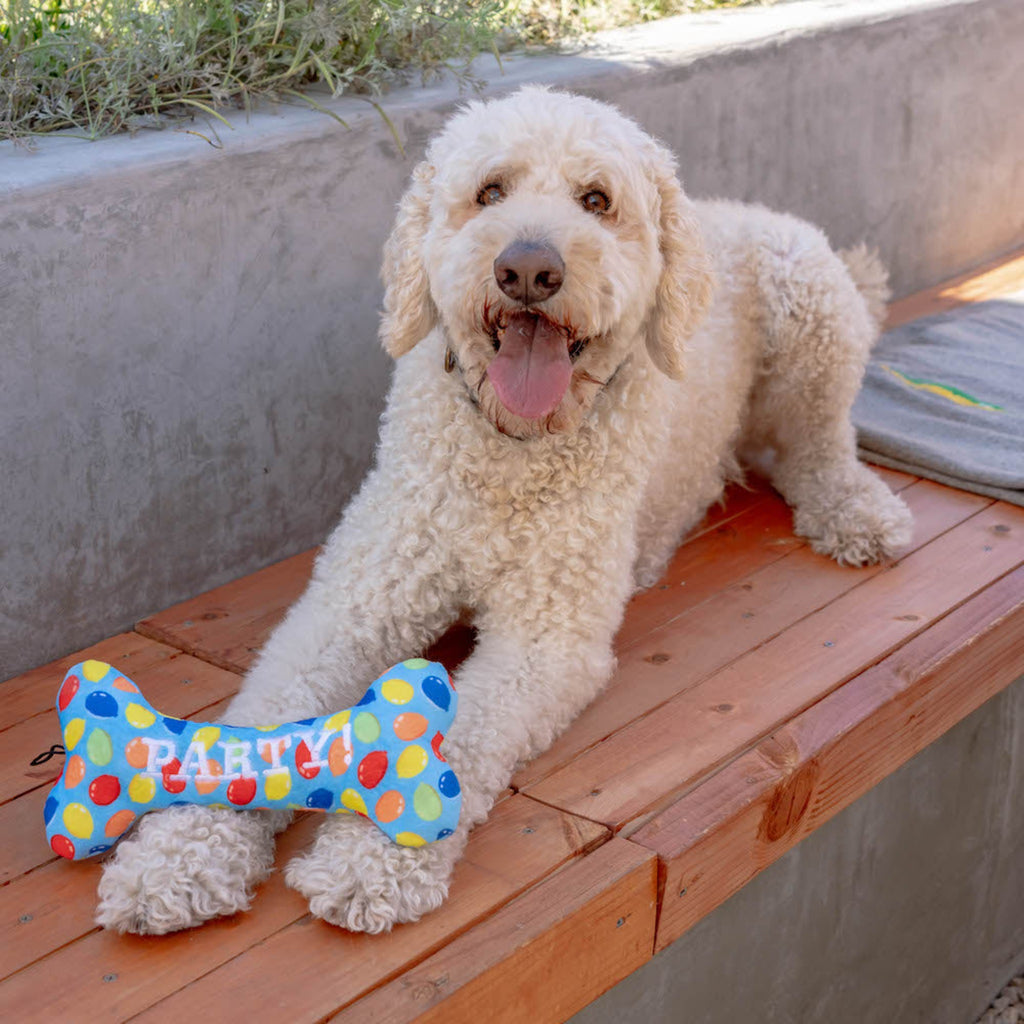 Dogs love Huxley & Kent's Party Time Bone Dog Toys