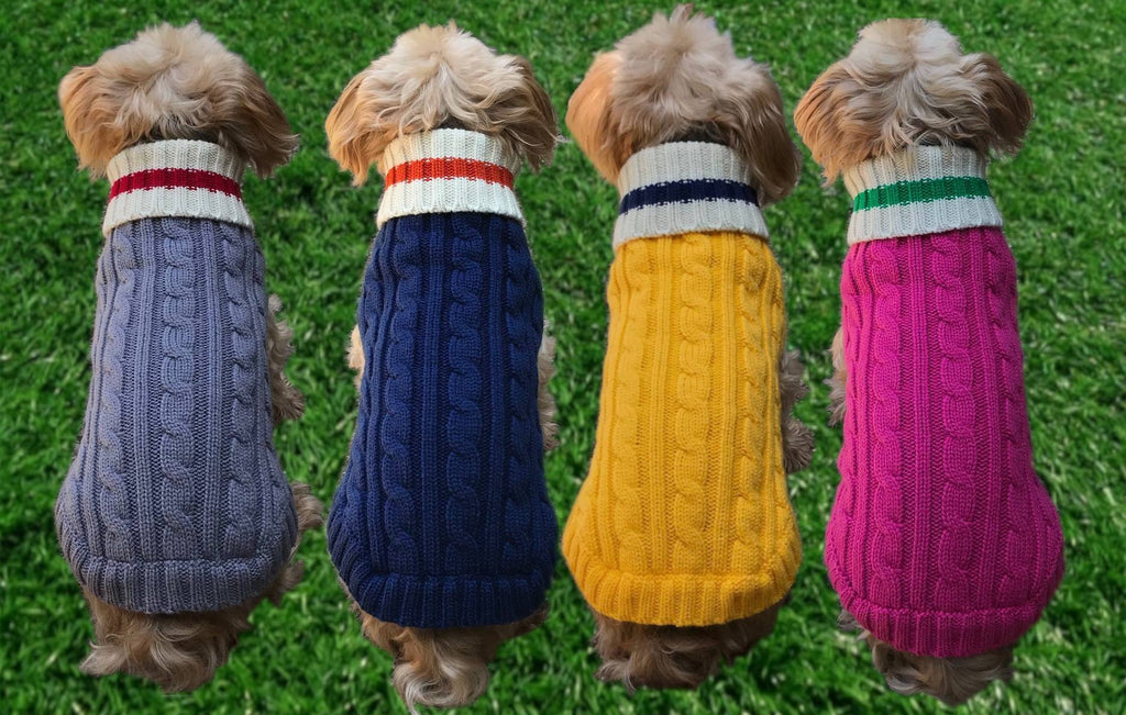 Dallas Dogs Preppy Pup Sweater Collection