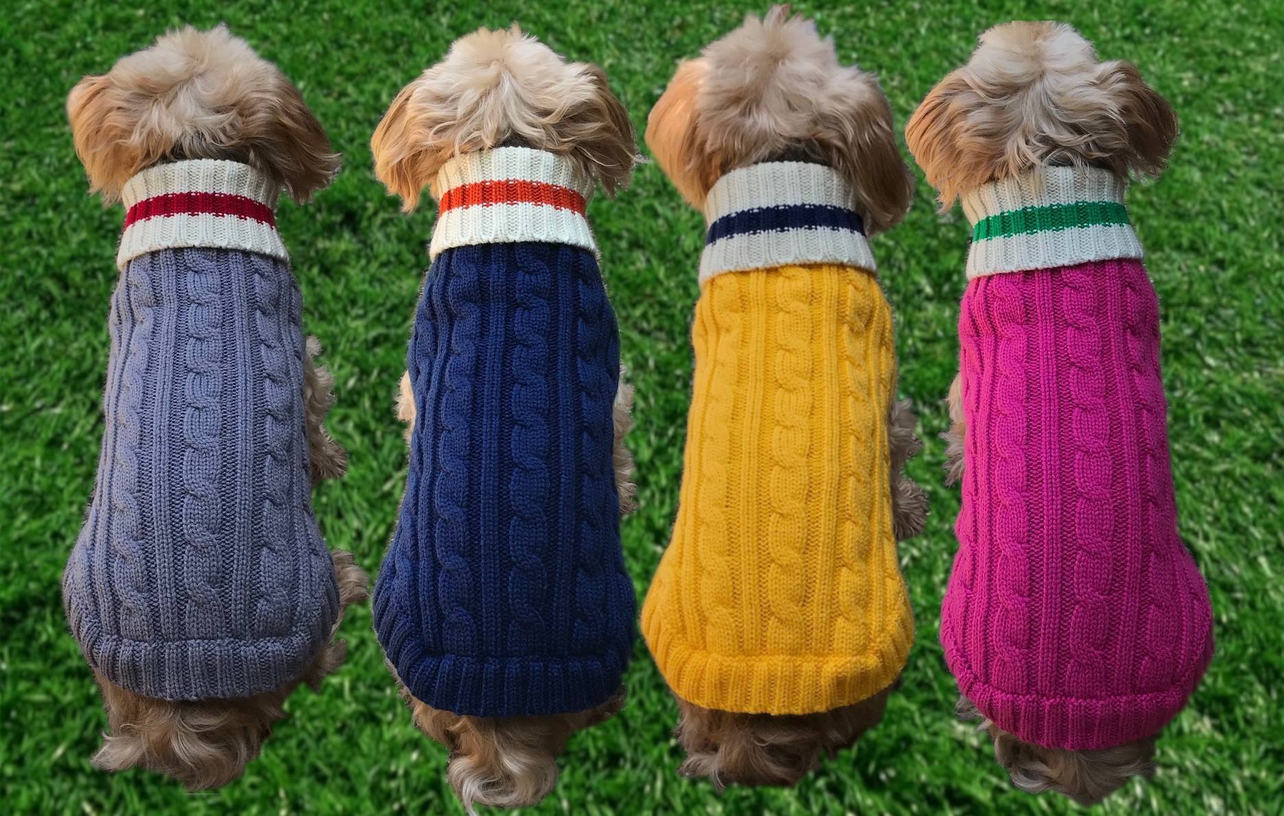 https://www.ukuscadoggie.com/cdn/shop/products/dogs-model-preppy-pup-sweater-collection_1024x1024@2x.jpg?v=1632507940